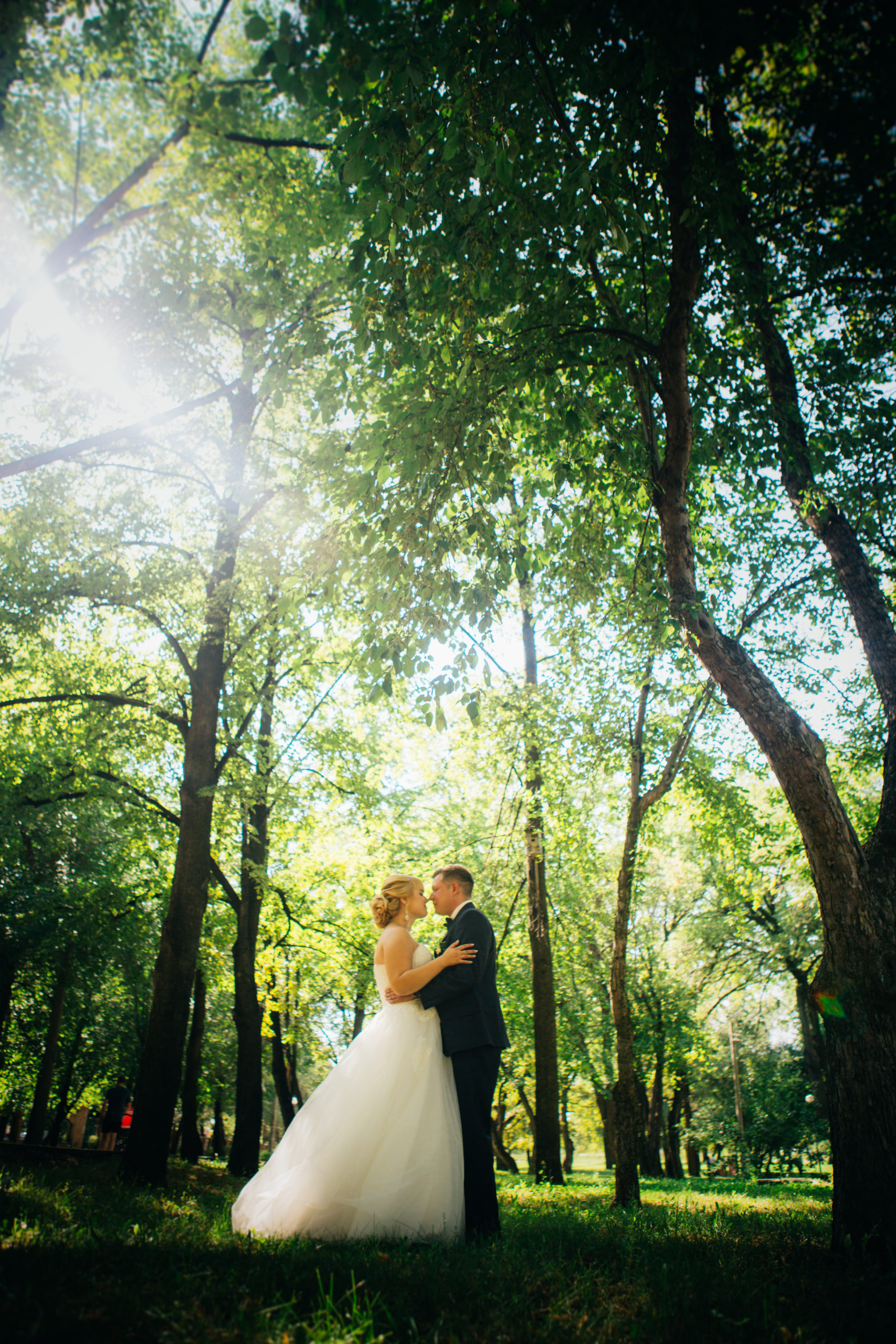 couple bride and groom on the background of the park's trees